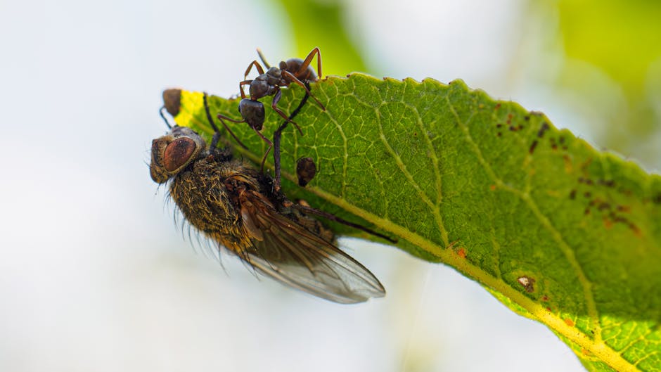 深入解析年金:穩健規劃未來財務的關鍵