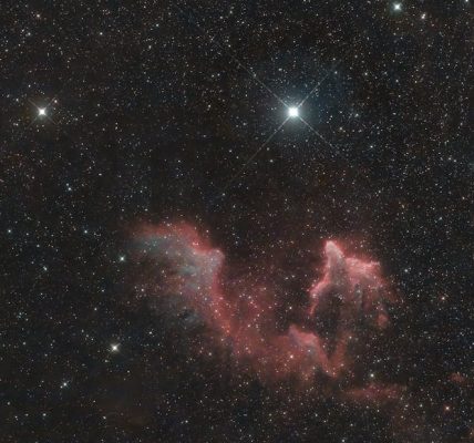 IT 外判的現況與發展趨勢分析