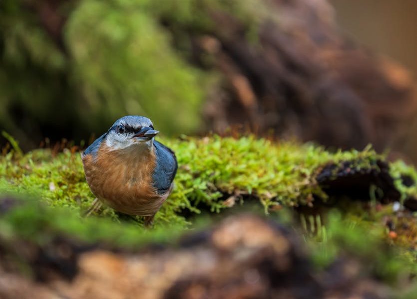 胃癌治療：從故事中探索有效方法與希望