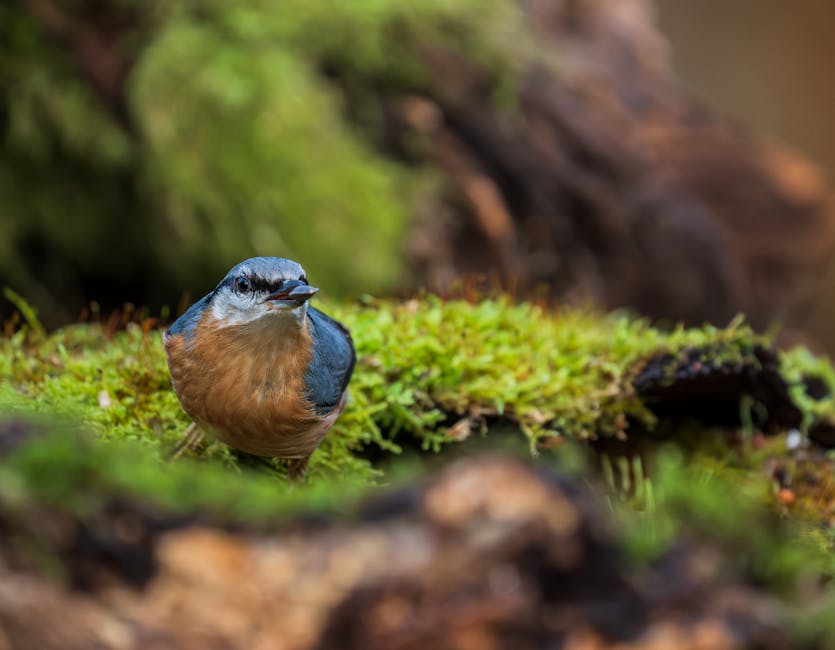 胃癌治療：從故事中探索有效方法與希望