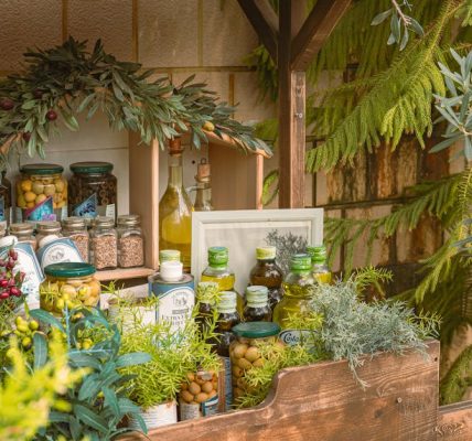 深入分析角鯊烯油的特性與應用