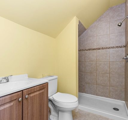 痔瘡藥膏：痛苦的終結者與生活的哲學省思